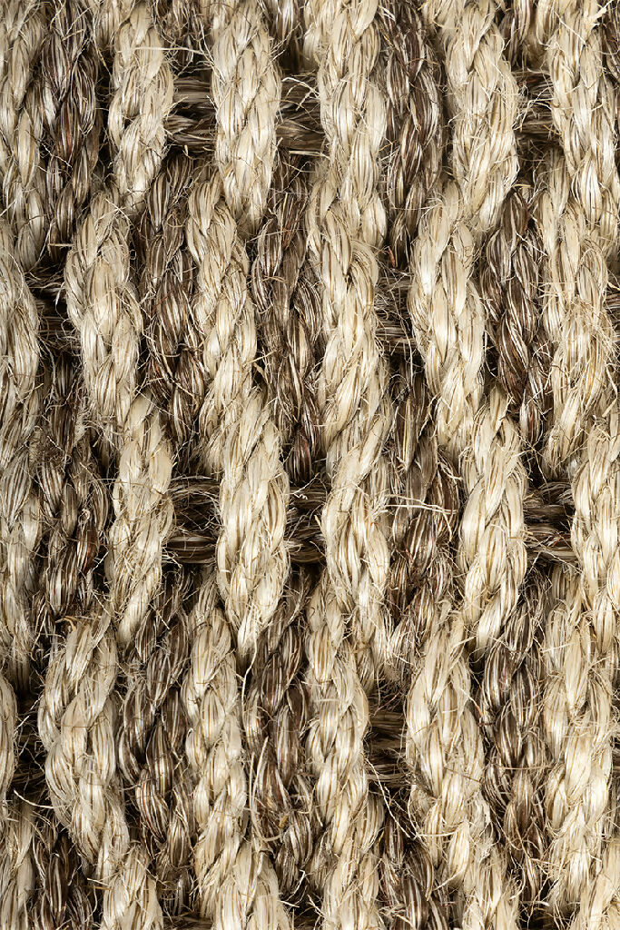 Untitled-1_0000_IMG_4697